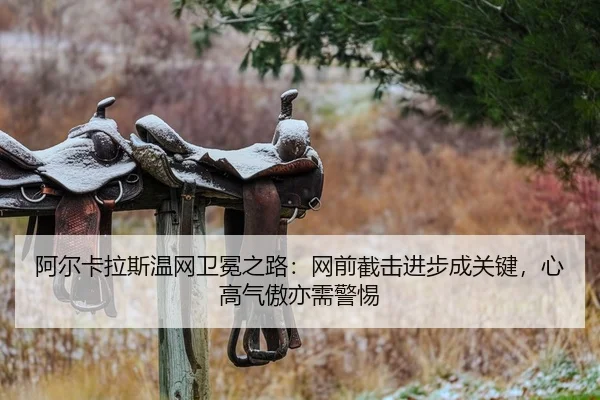 a-er-ka-la-si-wen-wang-wei-mian-zhi-lu-wang-qian-jie-ji-jin-bu-cheng-guan-jian-xin-gao-qi-ao-yi-xu-jing-ti-2-705.jpg