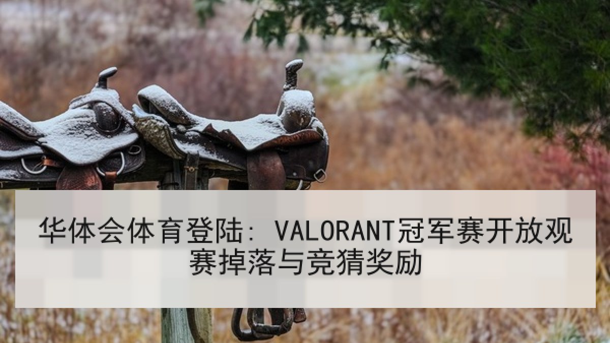 华体会体育登陆: VALORANT冠军赛开放观赛掉落与竞猜奖励