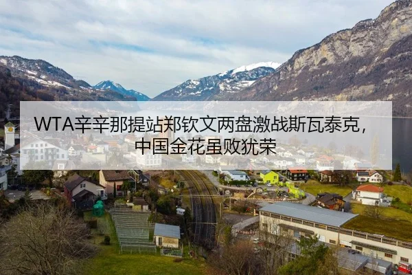 xin-xin-na-ti-zhan-zheng-qin-wen-liang-pan-ji-zhan-si-wa-tai-ke-zhong-guo-jin-hua-sui-bai-you-rong-2-234.jpg