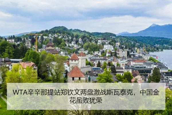 xin-xin-na-ti-zhan-zheng-qin-wen-liang-pan-ji-zhan-si-wa-tai-ke-zhong-guo-jin-hua-sui-bai-you-rong-3-100.jpg